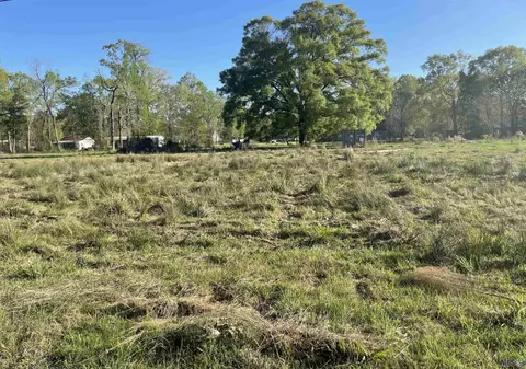 45055 Dena Dixon Ln, Saint Amant, LA 70774