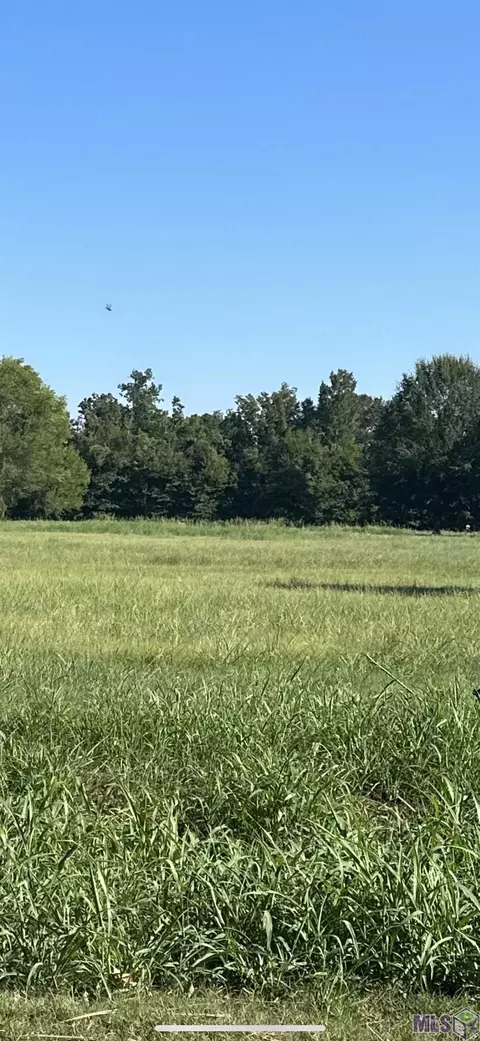 lot89 Waterloo Dr, Ventress, LA 70783