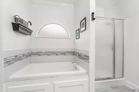 28010 Great Eagle Ave, Walker, LA 70785 photo 13