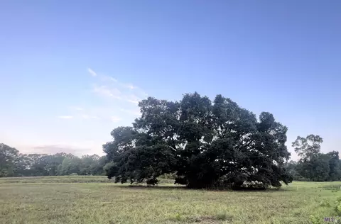 lot1 B1 Commerce St, Saint Francisville, LA 70775