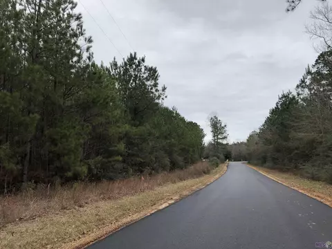 tbd Tract 6 Pipkin Rd, Greensburg, LA 70441