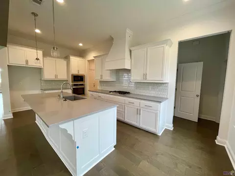 30356 Penntail St, Springfield, LA 70462 photo 1