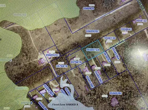 tbd Ross Trl, Albany, LA 70711
