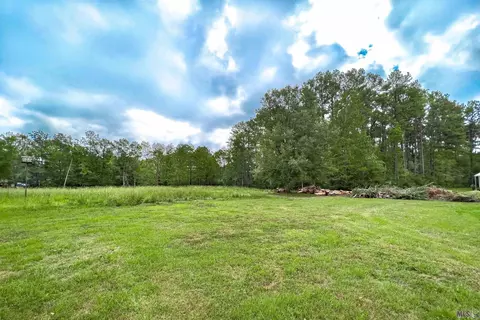 29370 S Anne Dr, Walker, LA 70785