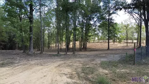 lot13 Davis Branch Rd, Amite, LA 70422