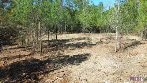 Tract A Walker Dr, Kentwood, LA 70444