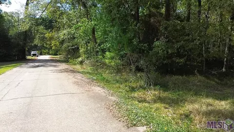 Tract F-1 Donald Dr, Denham Springs, LA 70726