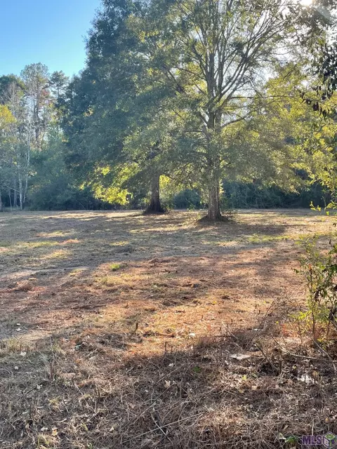 lot14 Blue Jay Ln, Denham Springs, LA 70726