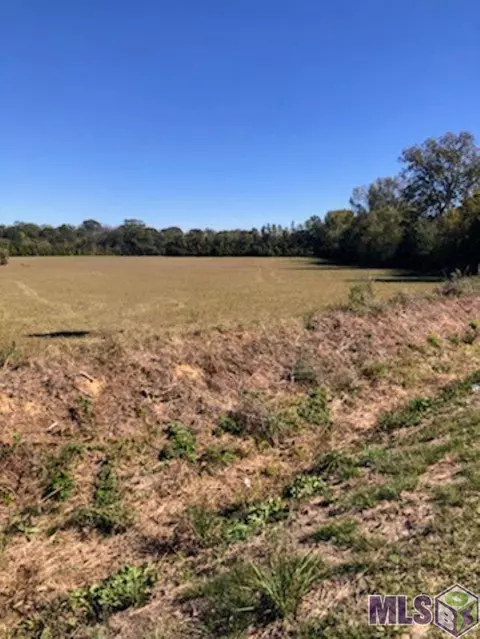 23710 Jacocks Rd, Slaughter, LA 70777 photo 4