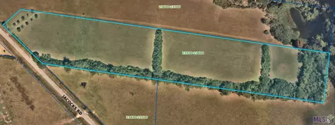 23710 Jacocks Rd, Slaughter, LA 70777 photo 5
