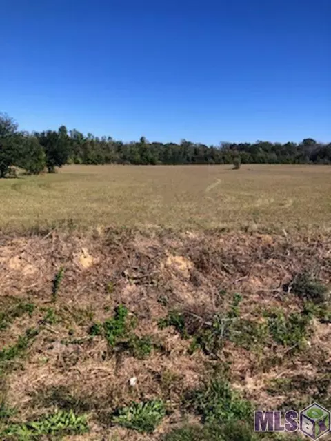 23710 Jacocks Rd, Slaughter, LA 70777 photo 2