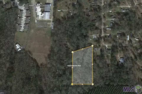14621 Clarence St, Walker, LA 70785