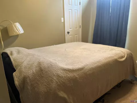 13643 Hope Haven Dr, Walker, LA 70785 photo 22