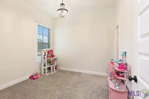23398 Cypress Cv, Springfield, LA 70462 photo 22