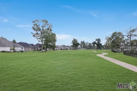 23398 Cypress Cv, Springfield, LA 70462 photo 31
