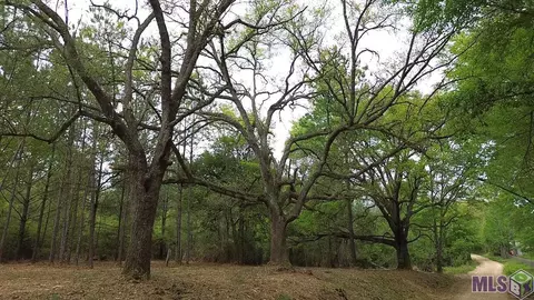 Tract 3-a-4 L Williams Rd, Clinton, LA 70722