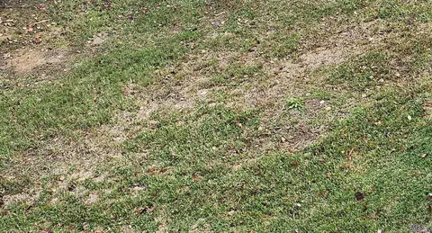 lot68 Ab El Scott Ave, Baton Rouge, LA 70811