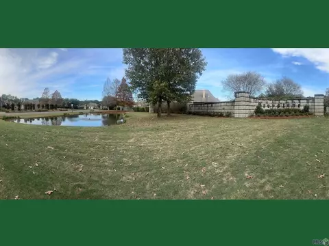 lot196 Geneagle Ct, Denham Springs, LA 70726