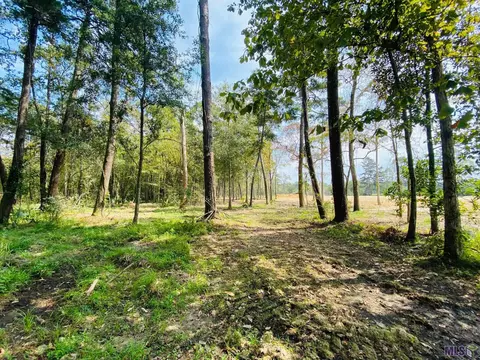 9101 Hillon Hood Rd, Denham Springs, LA 70726