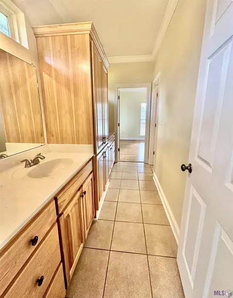 31547 River Pines Dr, Springfield, LA 70462 photo 6