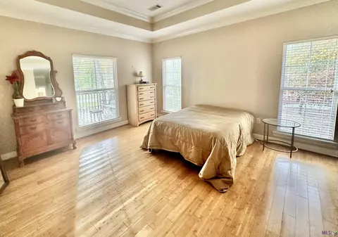 31547 River Pines Dr, Springfield, LA 70462 photo 12