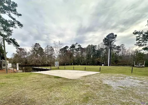 31547 River Pines Dr, Springfield, LA 70462 photo 29