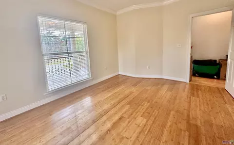 31547 River Pines Dr, Springfield, LA 70462 photo 10