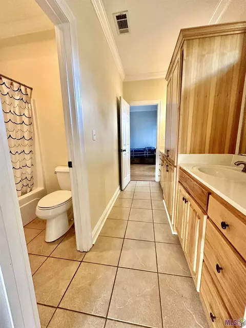 31547 River Pines Dr, Springfield, LA 70462 photo 8