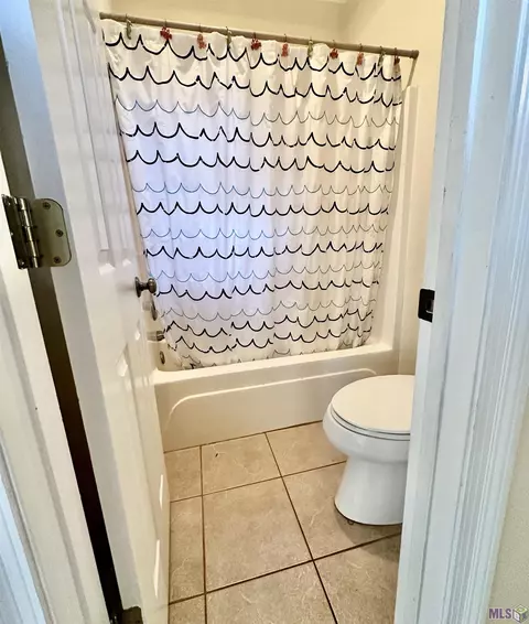 31547 River Pines Dr, Springfield, LA 70462 photo 7