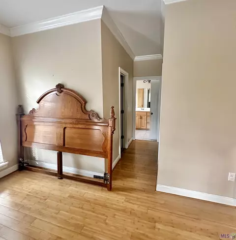 31547 River Pines Dr, Springfield, LA 70462 photo 13