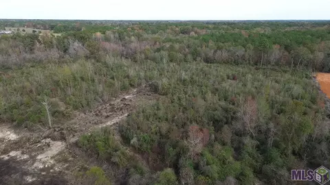 lot D-1 Olon Bankston Rd, Kentwood, LA 70444