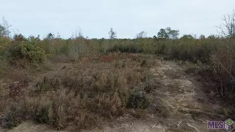 lot D-3 Olon Bankston Rd, Kentwood, LA 70444