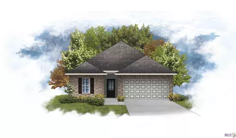 13980 Rosewell St, Denham Springs, LA 70726