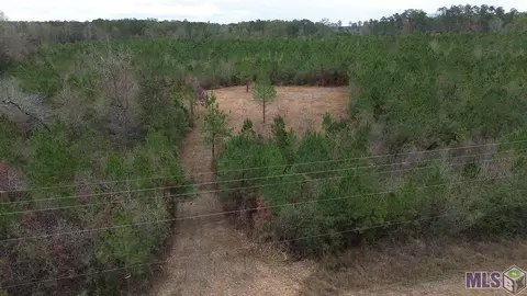 lot B La Hwy 449, Greensburg, LA 70441