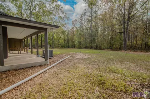 14392 Pine Park Dr, Walker, LA 70785 photo 5