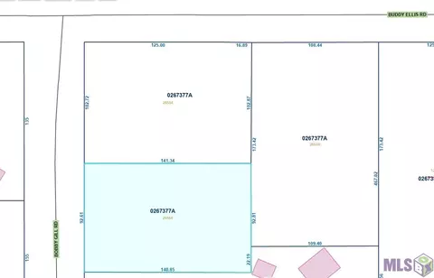 26586 Bobby Gill Rd, Denham Springs, LA 70726