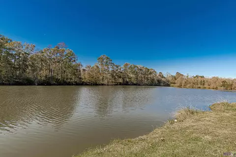 31115 Green Leaf Dr, Walker, LA 70785 photo 4