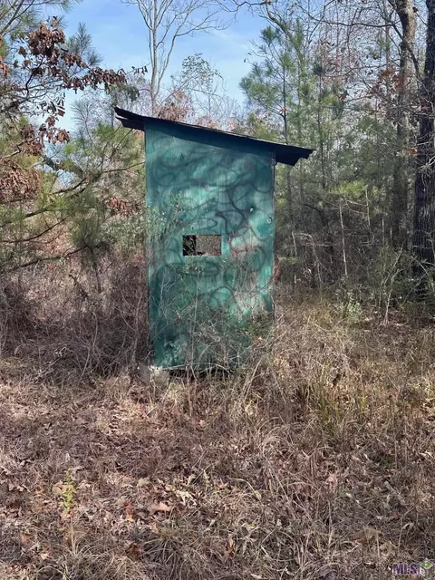 0 Tarver Rd, Olla, LA 71415 photo 5