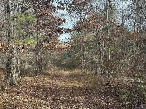 0 Tarver Rd, Olla, LA 71415 photo 4