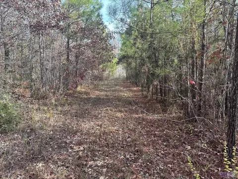 0 Tarver Rd, Olla, LA 71415