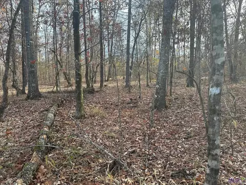0 Tarver Rd, Olla, LA 71415 photo 10