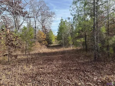 0 Tarver Rd, Olla, LA 71415 photo 2
