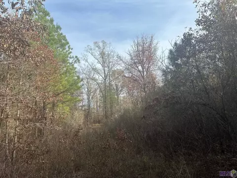 0 Tarver Rd, Olla, LA 71415 photo 7