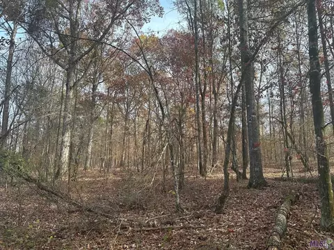 0 Tarver Rd, Olla, LA 71415 photo 9