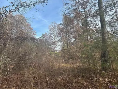 0 Tarver Rd, Olla, LA 71415 photo 6
