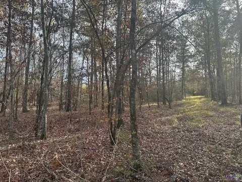 0 Tarver Rd, Olla, LA 71415 photo 11