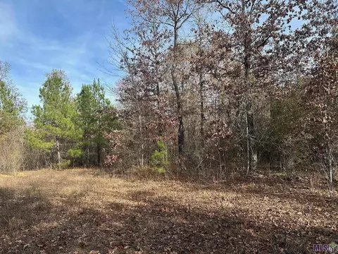 0 Tarver Rd, Olla, LA 71415 photo 3