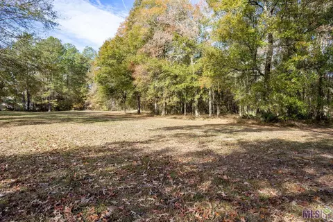 Pine Ridge Dr, Walker, LA 70785 photo 5