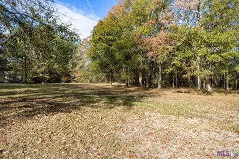 Pine Ridge Dr, Walker, LA 70785 photo 6
