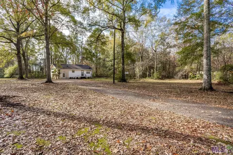14138 Pine Park Dr, Walker, LA 70785 photo 3